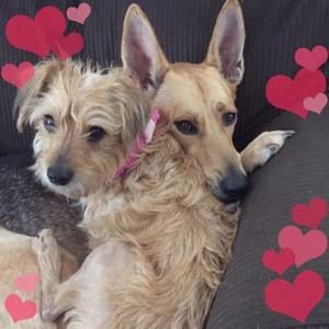 Meet your Posher, Aki